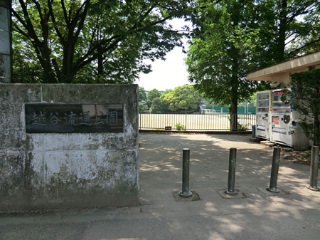 ���ӊ� ���� 1146m �z�J���ʌ���