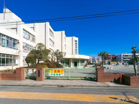 ���ӊ� ���w�Z 800m �������܎s���听���w�Z