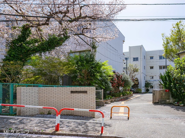 ���ӊ� ���w�Z 1200m �a���s����a���w�Z