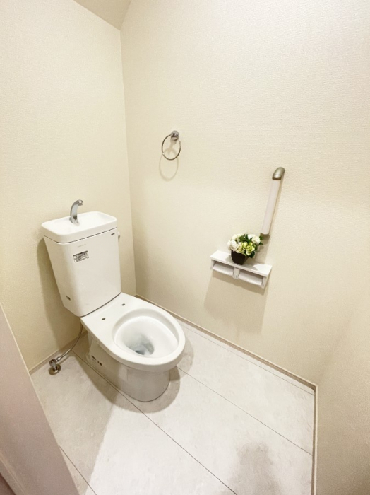 �g�C�� �������̂��锒����Ƃ���������������