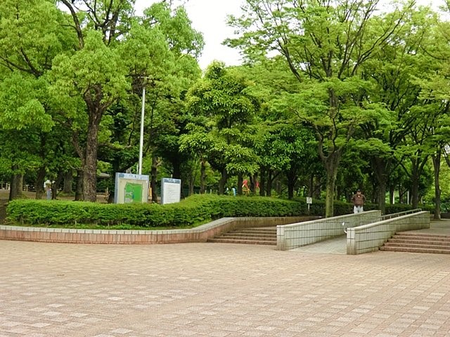 ���ӊ� ���� 1900m �n�s������