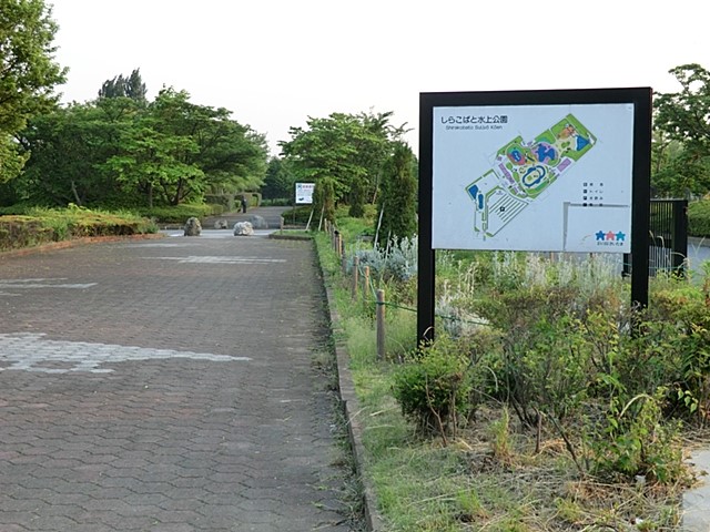 ���ӊ� ���� 2400m ���炱�΂Ɛ������