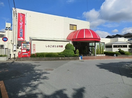 ���ӊ� �c�t���E�ۈ牀 610m ���炱�΂Ɨc�t��