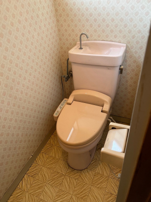 �g�C�� �������̂��锒����Ƃ���������������