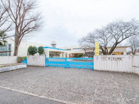 ���ӊ� ���w�Z 480m �x�m���s���j�P�J���w�Z