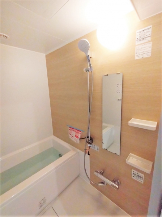 ���� ����