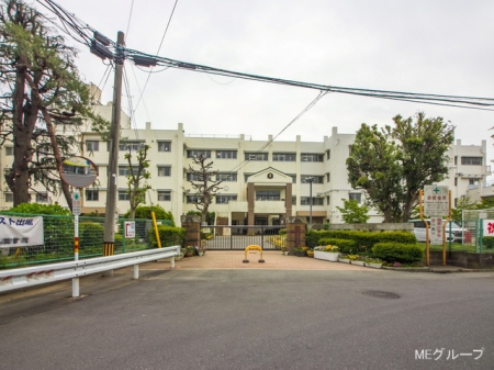 ���ӊ� ���w�Z 1500m ��z�s����쒆�w�Z