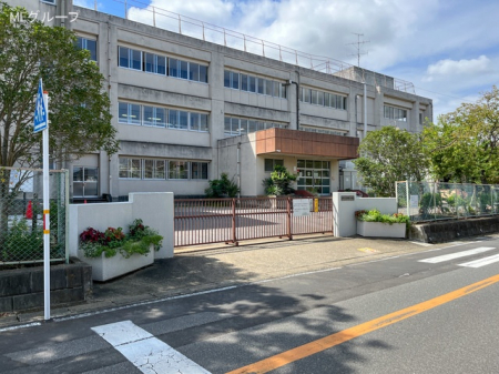 ���ӊ� ���w�Z 450m ���s���Ԗ�䏬�w�Z