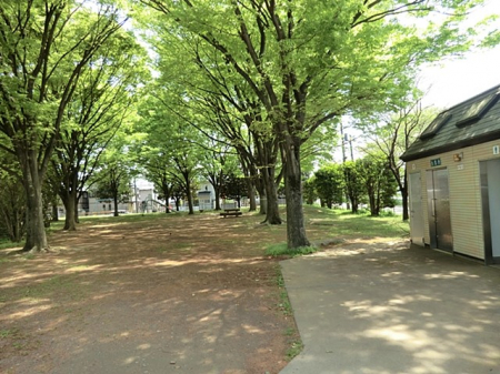 ���ӊ� ���� 1302m ��������