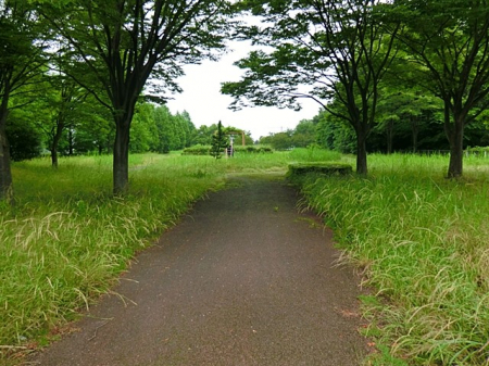���ӊ� ���� 2592m ���O����