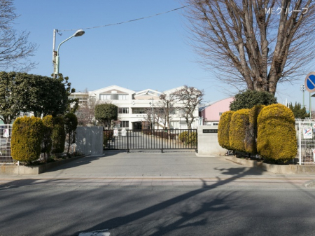 ���ӊ� ���w�Z 550m ����s�����쒆�w�Z