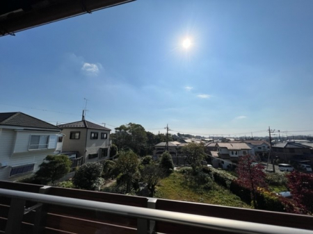 ���̑� �S�n�悢������������J�����̂��钭�]