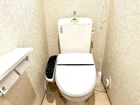 �g�C�� �������̂��锒����Ƃ���������������