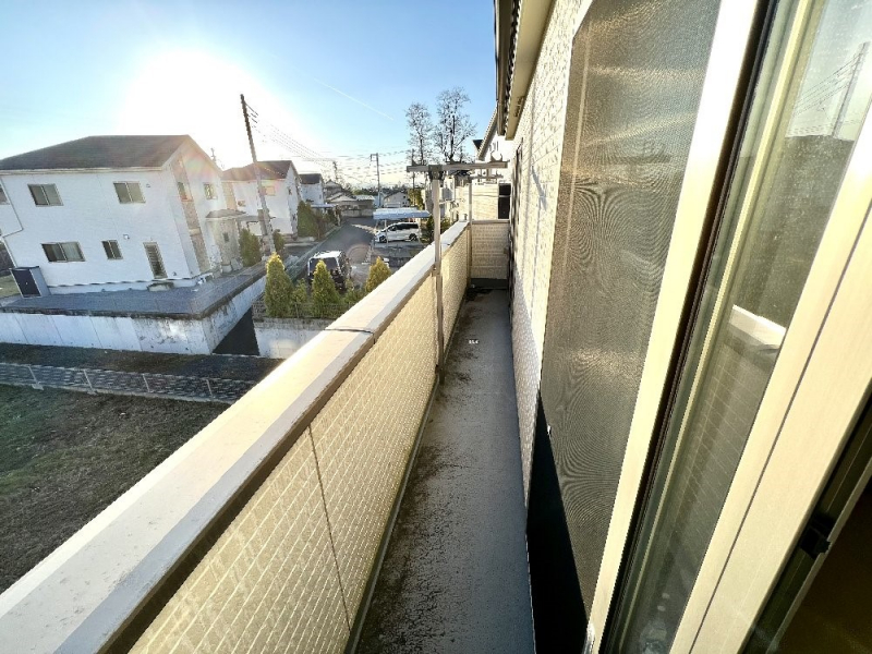 �o���R�j�[ �S�n�悢����������ꂻ���ȃo���R�j�[