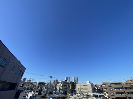���̑� �S�n�悢������������J�����̂��钭�]