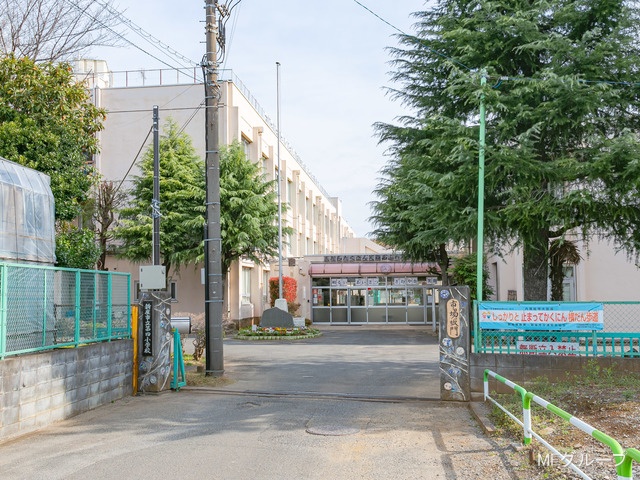 ���ӊ� ���w�Z 1500m �V���s����l���w�Z