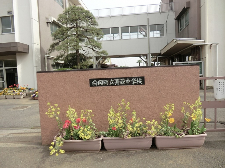 ���ӊ� ���w�Z 1200m �����s����䮒��w�Z