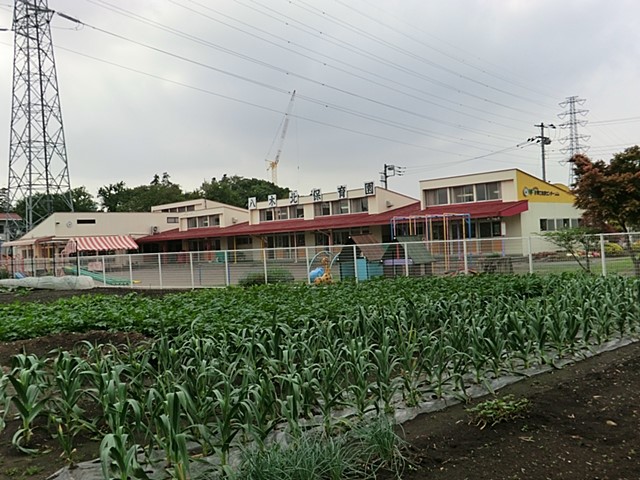 ���ӊ� �c�t���E�ۈ牀 386m ���ؖk�ۈ牀