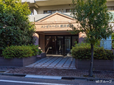 �G���g�����X -